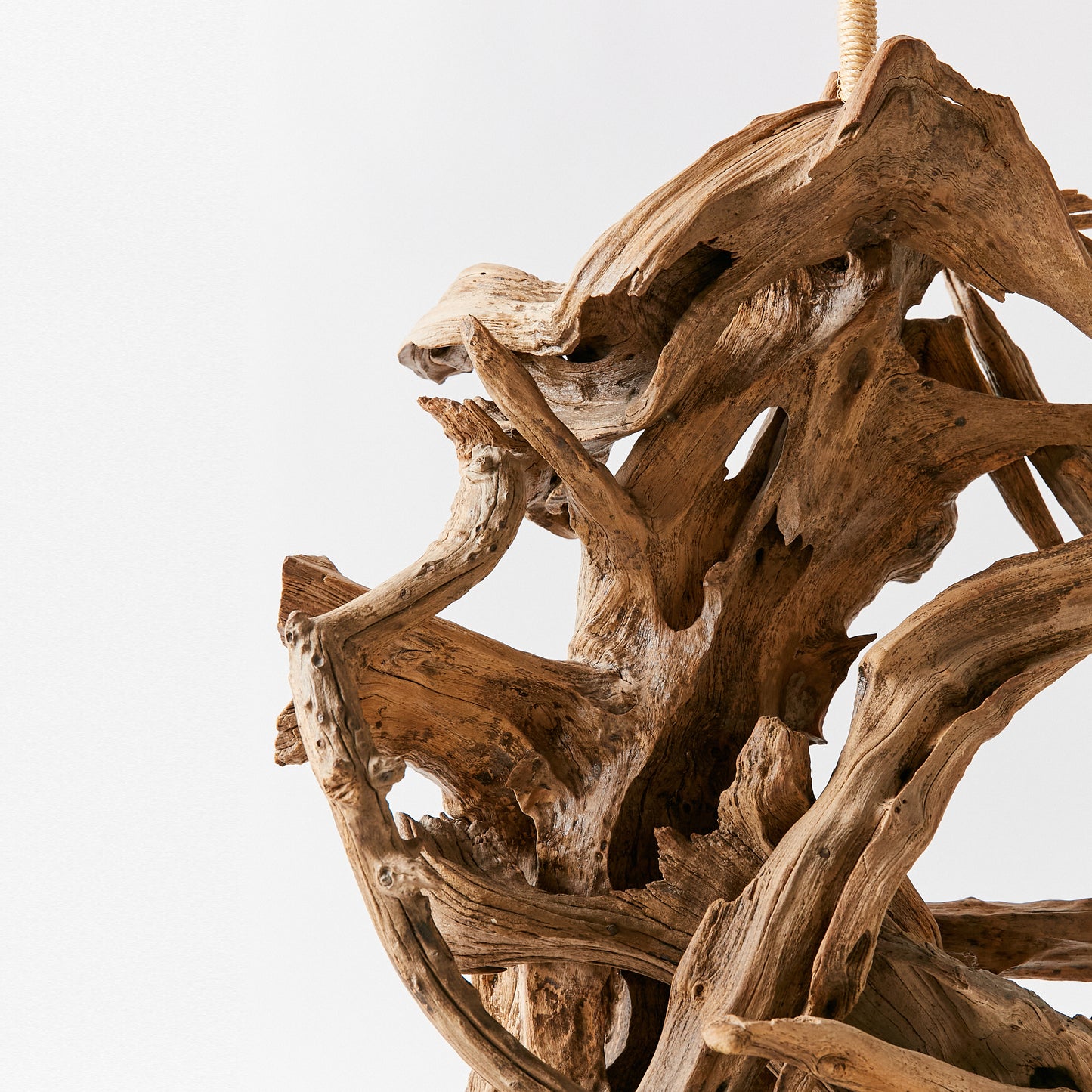 Sculptural Driftwood Lamp