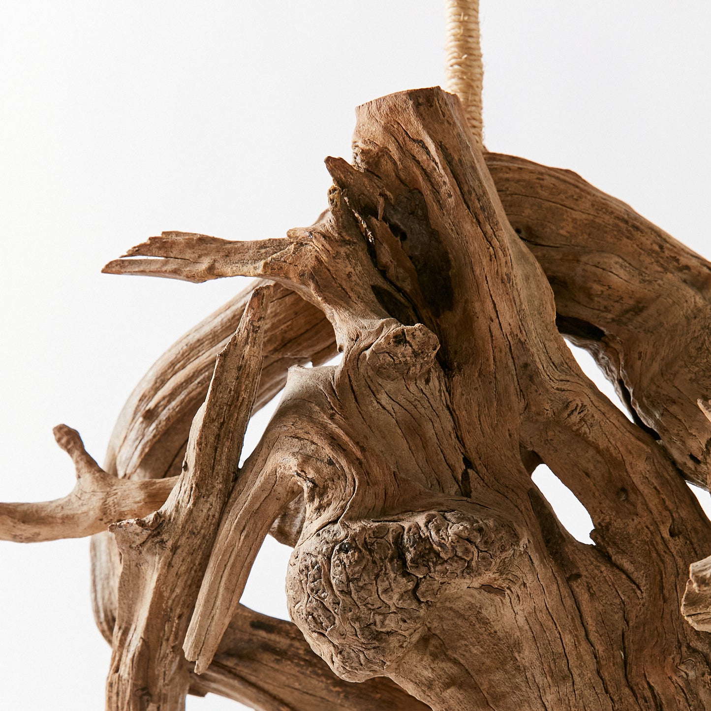 Sculptural Driftwood Lamp